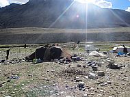 We visited a camp of the Changpa Nomads. The nomadic tribes still move their camp every 4 weeks or so, in order to get good grazing for their animals.