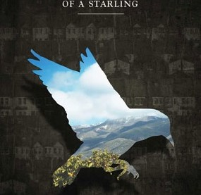 From the Viewpoint of a Starling’ New Comic Novel by Alexia Bartlett